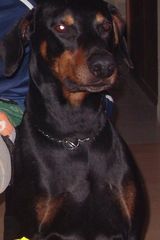 Photos Truskaweczka12322