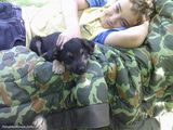 Fotos pepe009