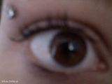Fotos kituss