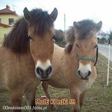 Zdjęcie użytkownika OOooAsiaooOO3