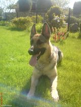 Fotka uživatele kajaw95