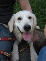 Benutzerfoto CookieMonsterRulez