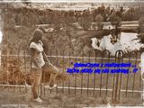 Foto pengguna poziomka0058