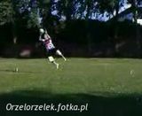 Фотография пользователя Orzelorzelek