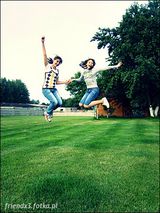 Fotos zajedwabistex3