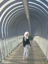 Zdjęcie użytkownika orchide