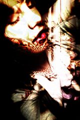 Zdjęcie użytkownika vivacious