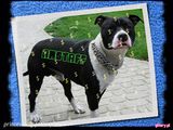 Benutzerfoto princesabdg