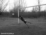 Benutzerfoto Dominik116