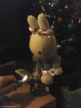 Fotos VeliusOrnitier