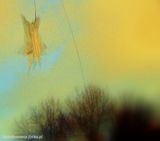 Fotka uživatele butelkomania