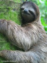 Фото користувача jestspoko