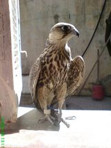 Fotka uživatele hmddz213dz