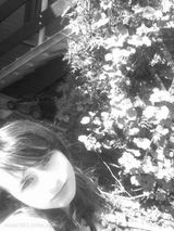 Fotos miska1603
