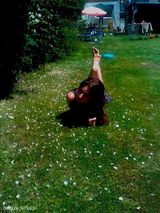 Фотография пользователя beaxxx