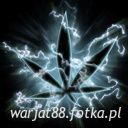 Fotos warjat88