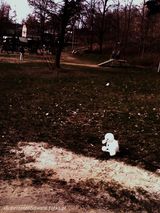 Zdjęcie użytkownika xRoberto666Balwanx