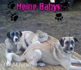 Zdjęcie użytkownika tina84