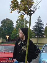 Фотография пользователя MrVanDall