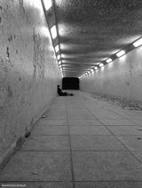 Zdjęcie użytkownika MissHonesty