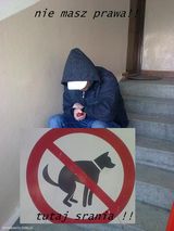 Zdjęcie użytkownika heniekpaleta