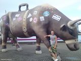 Фотография пользователя iwanelk