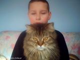 Foto utilizatorului LeeKarateMistrz