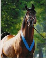 Фотография пользователя Pawelekkkk87