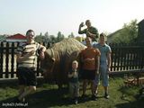 Fotos bojka23