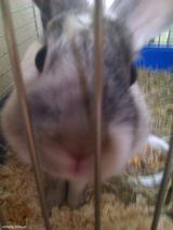 Fotka uživatele rafikbdg