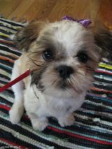 Zdjęcie użytkownika paulinakr155