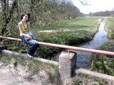Фотография пользователя paulusiaaa1c