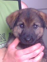 Zdjęcie użytkownika Dania17