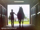 Fotka uživatele agaagusiaa