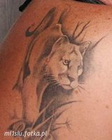 Фотография пользователя mi1siu