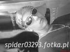 Benutzerfoto spider03293