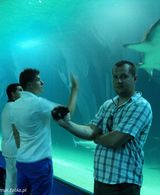 Zdjęcie użytkownika traveleruk