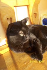 Zdjęcie użytkownika misqozi112