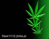 Benutzerfoto Pawe11112