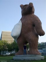 Zdjęcie użytkownika westy27