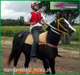 Фотография пользователя damian66002