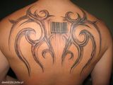 Foto pengguna dawid232d