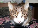 Zdjęcie użytkownika elo027