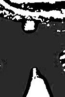 Fotos kasjanromantyczno