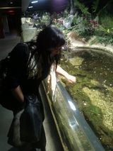 Fotos missindependent02