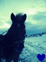 Photos katkaschebestikova