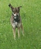 Фото користувача baleronowy