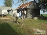 Benutzerfoto markusek1994