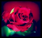 Zdjęcie użytkownika kasialeszno