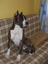 Foto utilizatorului lukasz1986212